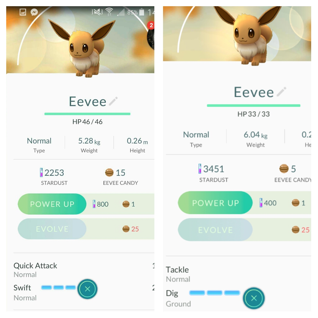 Pokémon: Teoria afirma que Eevee terá nova evolução